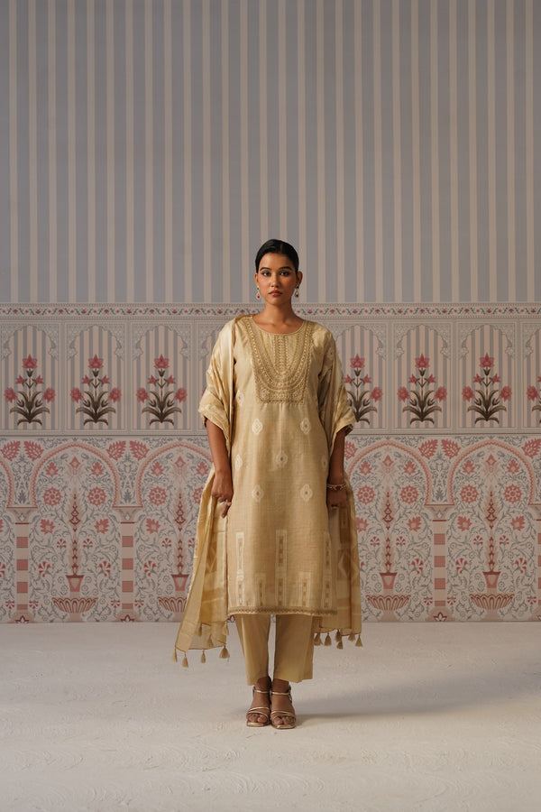 Embroidered Printed Kurta Set