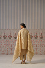 Embroidered Printed Kurta Set